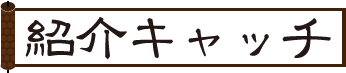 紹介キャッチ