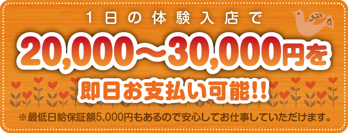 1日の体験入店で20000円～30000円を即日お支払可能