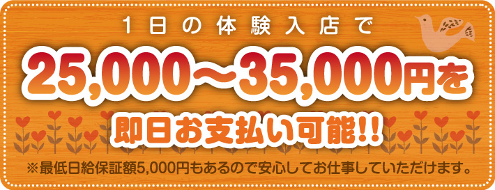 1日の体験入店で25000円～35000円を即日お支払可能