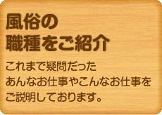 風俗の職種をご紹介